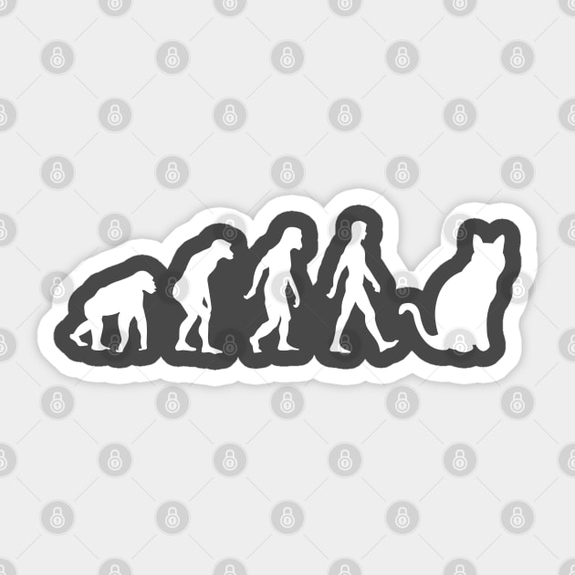 HUMAN CAT EVOLUTION Sticker by MoreThanThat